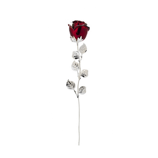 ROSA  ( SECARLATA ) 33 CM ESP