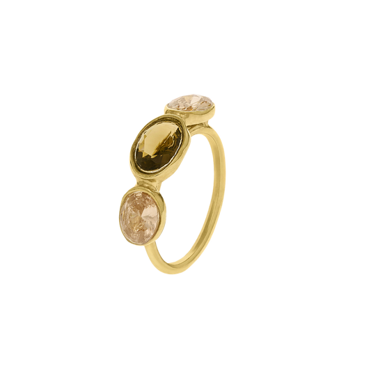 ANEL EUGÉNIO CAMPOS - MEMÓRIA EM PRATA 925% DOURADA