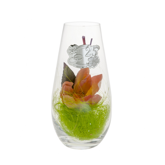 JARRA 25 ANIVERSÁRIO