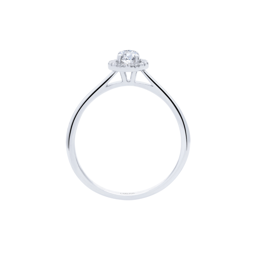 Solitário Carlton Jewellery Halo Ouro 18k com Diamantes