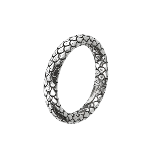 ANEL ALBERT M. EM PRATA 925