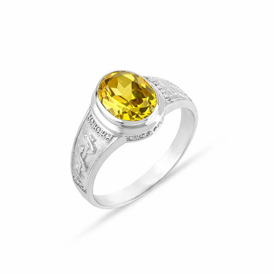 Anel de Curso FRA (ANF006064)