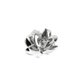 CHARME STORY ONE ENERGY FOR LIFE LOTUS