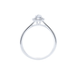 Solitário Carlton Jewellery Halo Ouro 18k com Diamantes