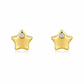 BRINCOS EM PRATA 925 DOURADO COM ESTRELA E ZIRCONIA