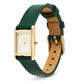 RELOGIO DANIEL WELLINGTON BOUND MINI 17X26 GREEN LIZARD WHITE