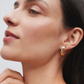BRINCOS VIDAL & VIDAL EM BRONZE COM BANHO DE OURO 18K