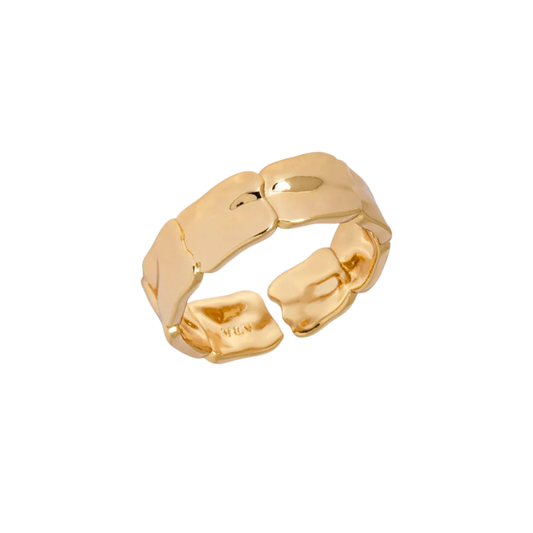 ANEL VIDAL & VIDAL EM BRONZE COM BANHO DE OURO 18K