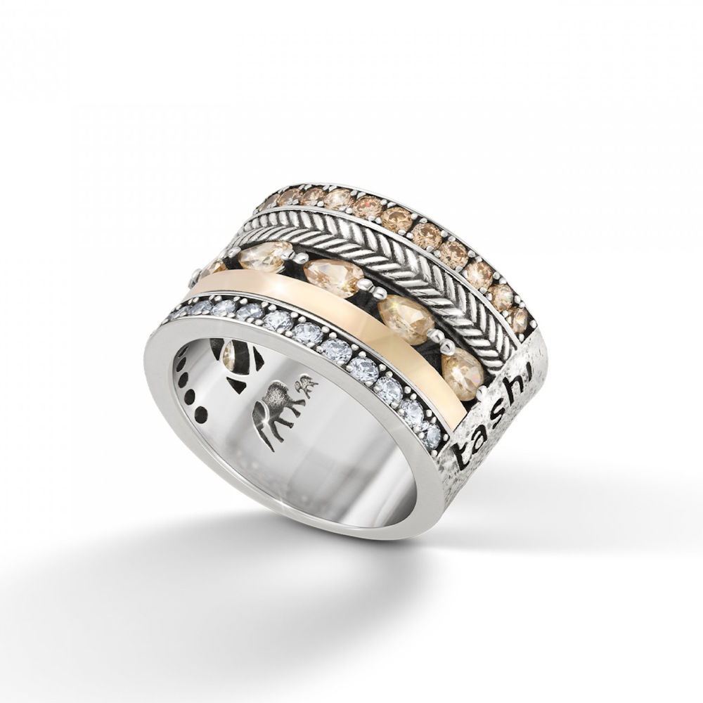 ANEL TASHI SAVANA PRATA E OURO T:20