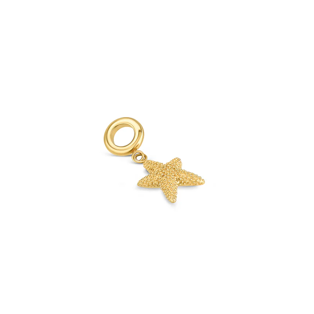 CHARME ONE ENERGY STARFISH GOLD