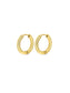BRINCOS ONE ENERGY MASTER HOOP GOLD