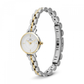 RELOGIO DANIEL WELLINGTON SENHORA PETITE MINI 19 ARCH 3-LINK BICOLOR